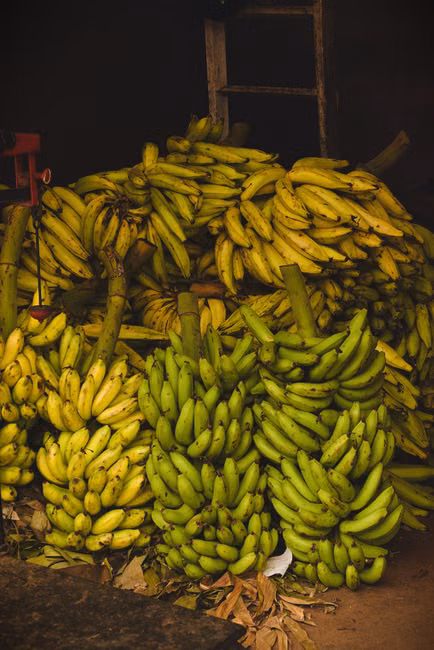 Macarrão Espaguete (500g)